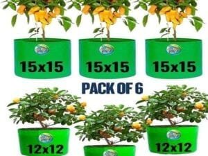 Stylo Plant Bags - Bhandarum