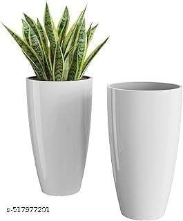 Useful Flower Pots - Bhandarum