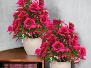 Wonderful Artificial Plant, Flower and Shrubs - Bhandarum