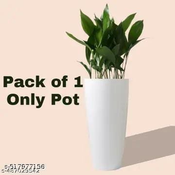 Attractive Flower Pots 3 Attractive Flower Pots - Bhandarum