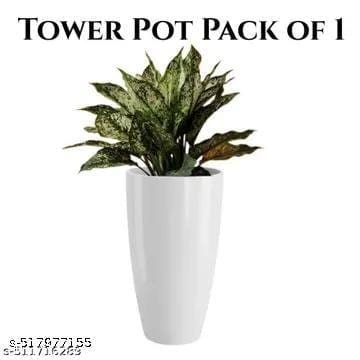 Attractive Flower Pots 4 Attractive Flower Pots - Bhandarum