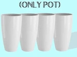 Attractive Flower Pots - Bhandarum