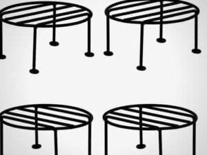 Latest Plant Bowls - Bhandarum