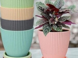 Wonderful Hanging Planters - Bhandarum