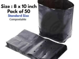 Graceful Plant Bags - Bhandarum